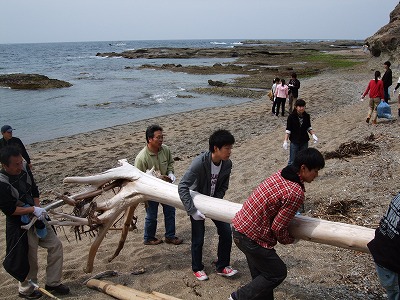 アワーズ動物学院生が海岸清掃 南方熊楠記念館